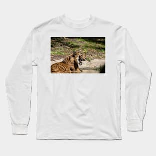 Yawning Tiger Long Sleeve T-Shirt